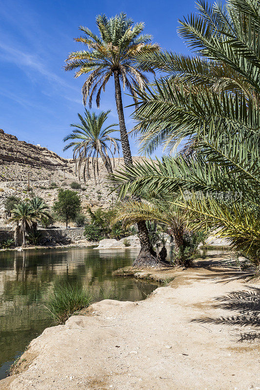 Wadi bani khalid，阿曼ash sharqiyah地区